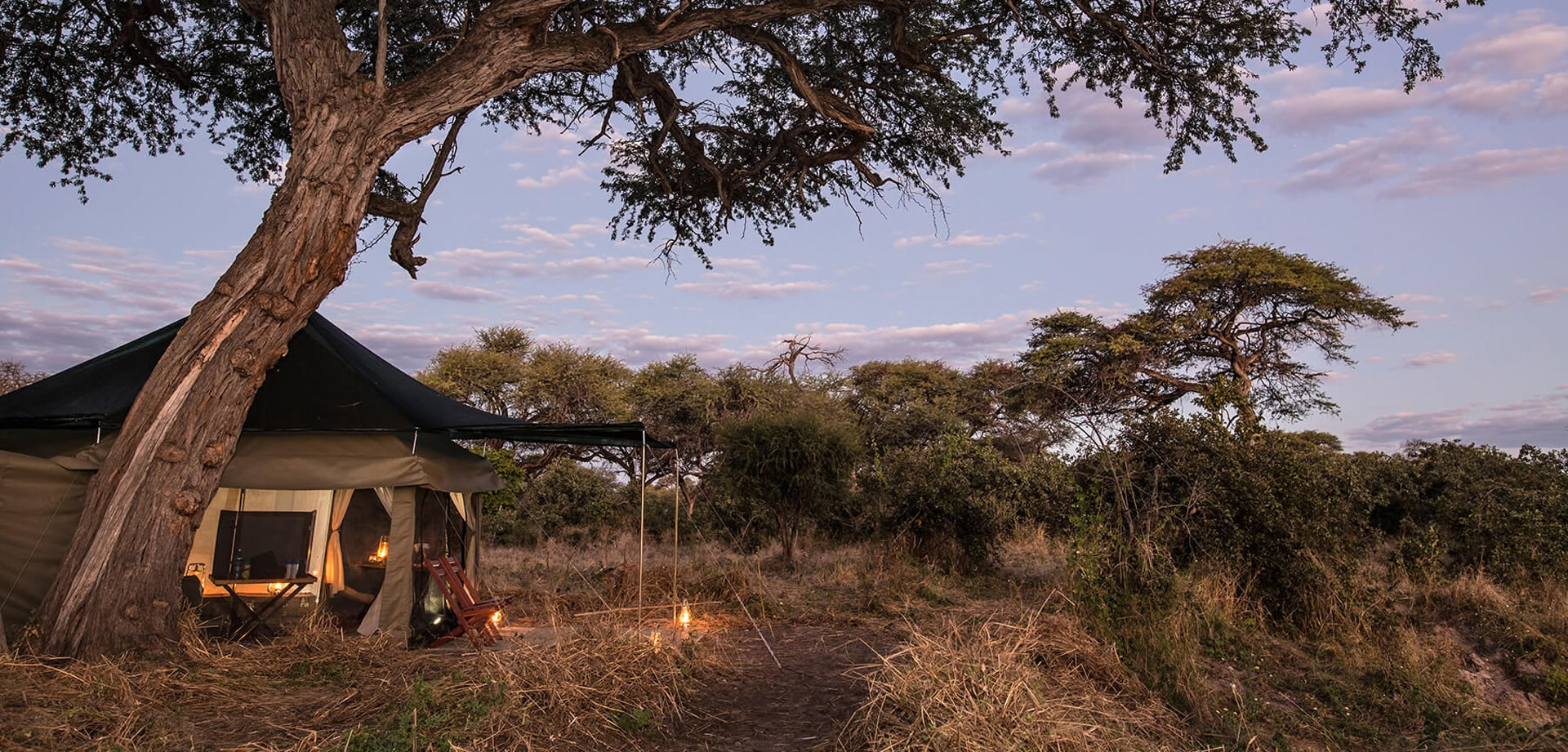 Adventurous Botswana Cover Image